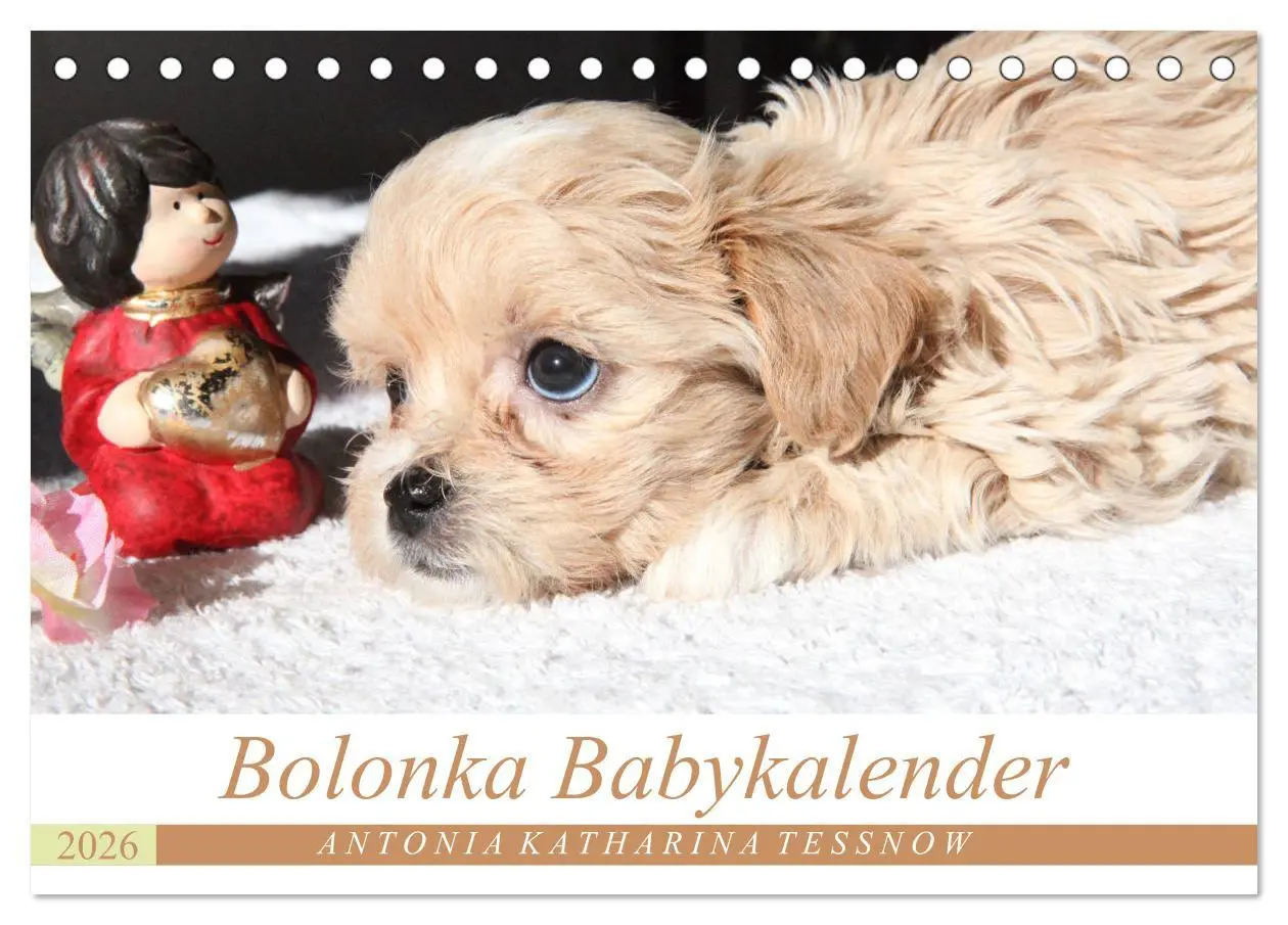 Cover: 9783457884386 | Bolonka Babykalender 2026 (Tischkalender 2026 DIN A5 quer),...