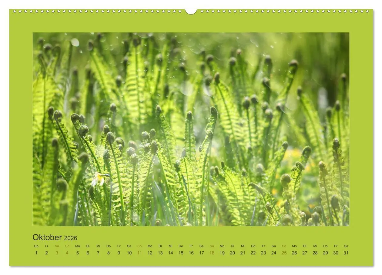 Bild: 9783516114386 | 12 Farben (hochwertiger Premium Wandkalender 2026 DIN A2 quer),...