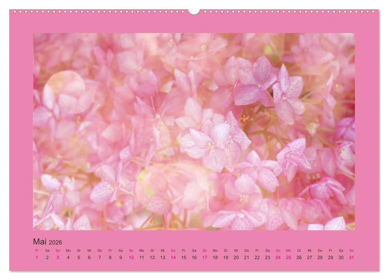 Bild: 9783516114386 | 12 Farben (hochwertiger Premium Wandkalender 2026 DIN A2 quer),...