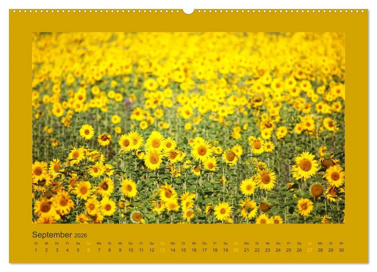 Bild: 9783516114386 | 12 Farben (hochwertiger Premium Wandkalender 2026 DIN A2 quer),...