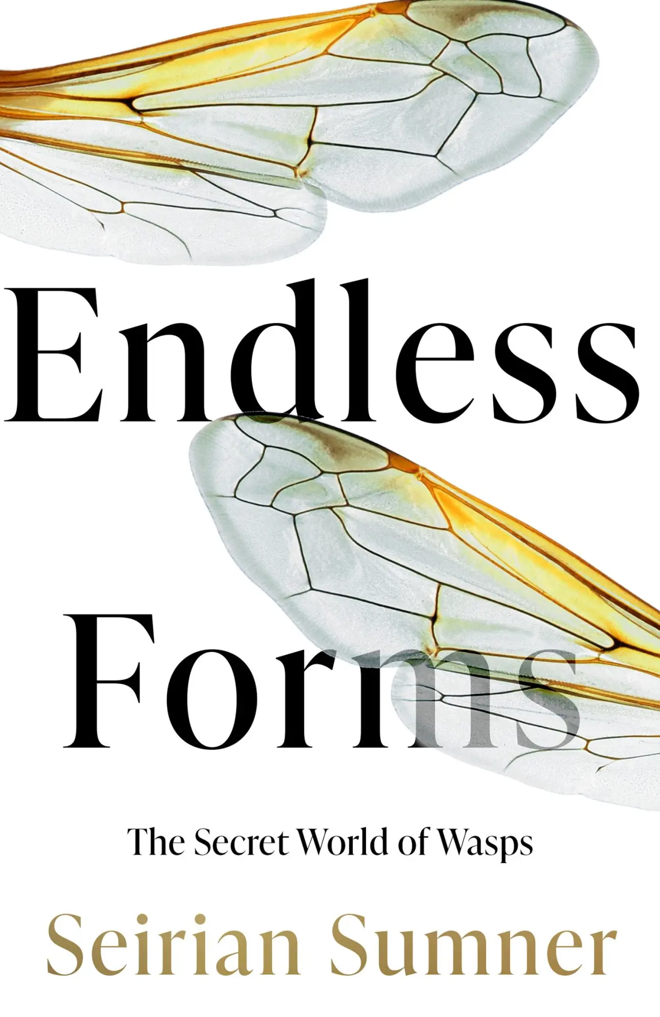 Cover: 9780008394486 | Endless Forms | The Secret World of Wasps | Seirian Sumner | Buch
