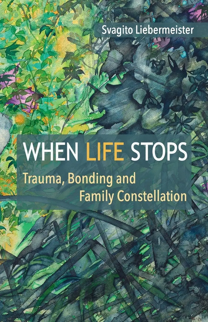 Cover: 9781916364486 | When Life Stops | Svagito Liebermeister | Taschenbuch | Paperback