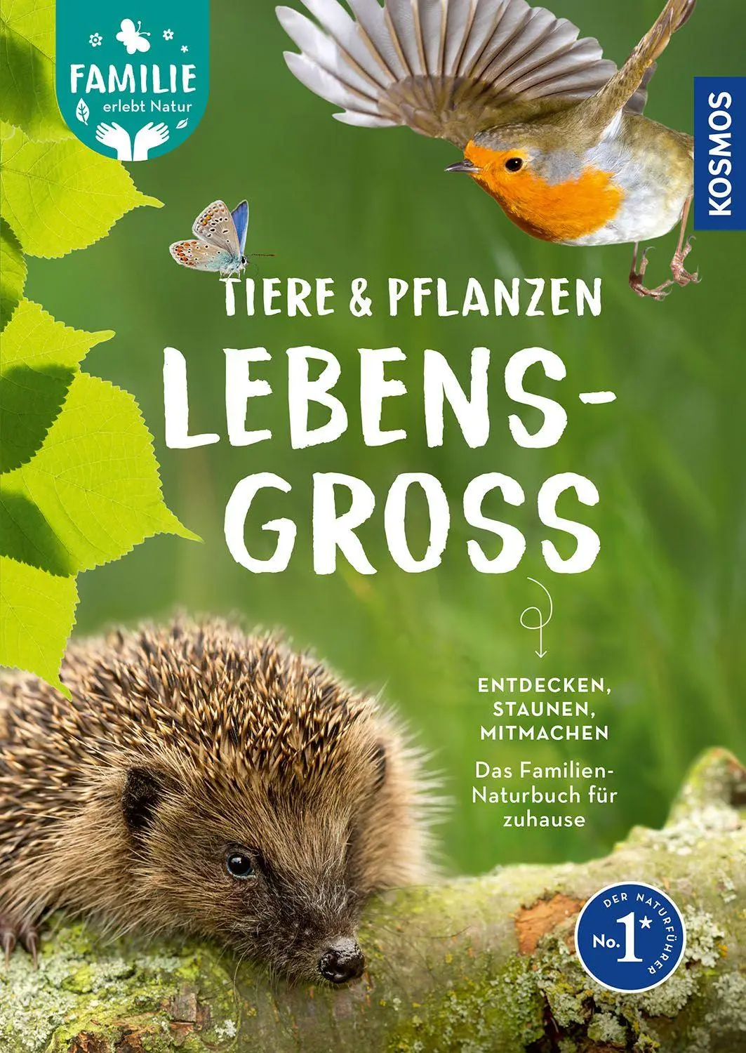 Cover: 9783440184486 | Tiere und Pflanzen lebensgroß | Daniela Strauß (u. a.) | Buch | 160 S.