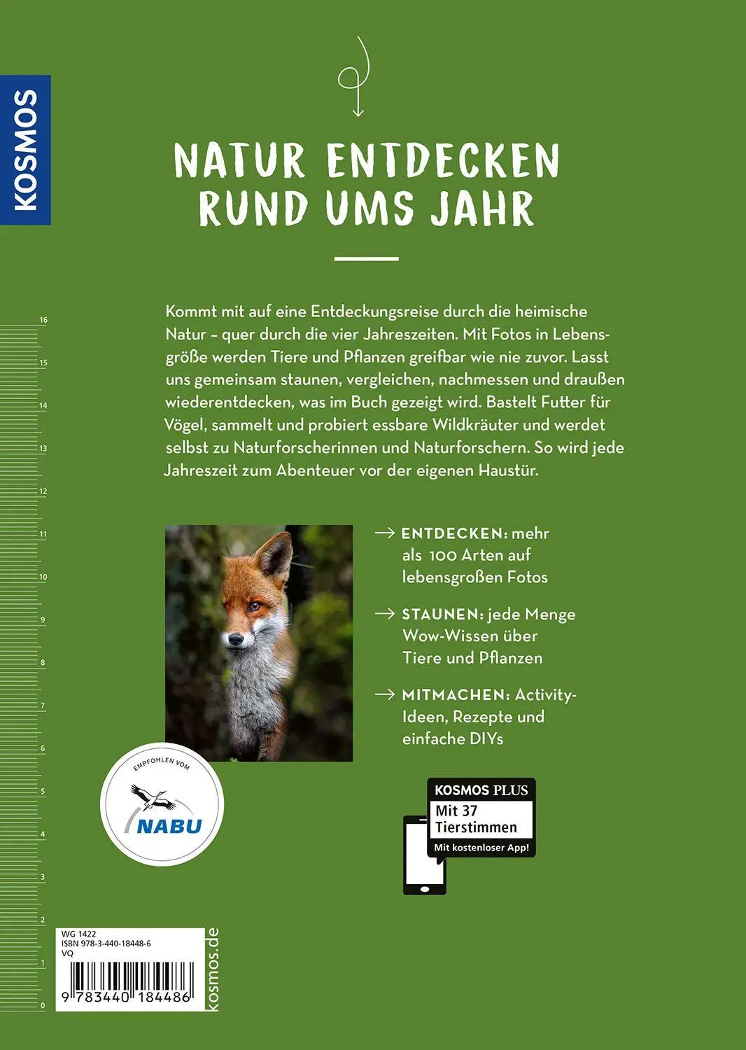 Bild: 9783440184486 | Tiere und Pflanzen lebensgroß | Daniela Strauß (u. a.) | Buch | 160 S.