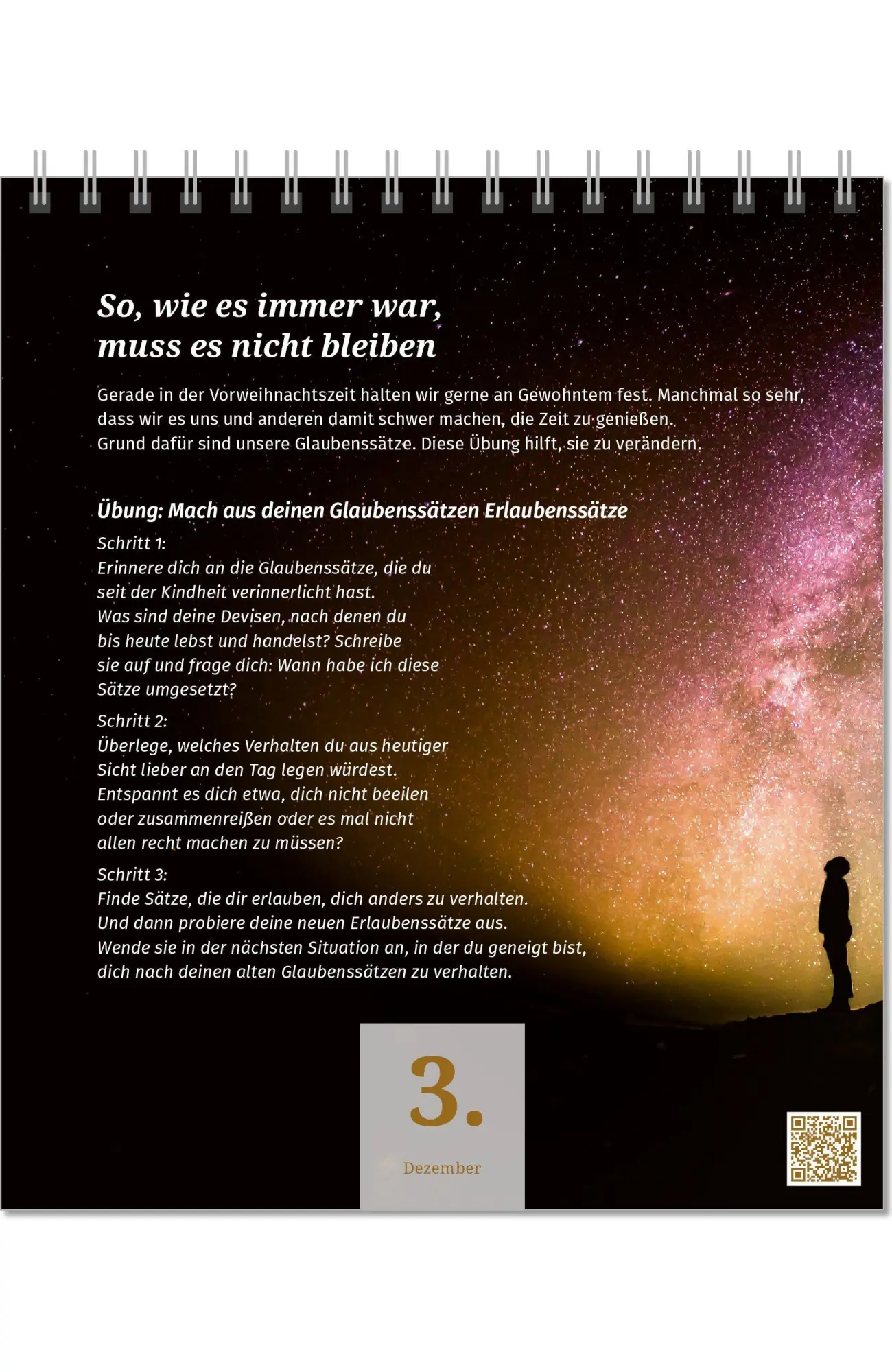 Bild: 9783910294486 | Der PAL Lebensfreude-Adventskalender 2026 - 24 Impulse für mehr...