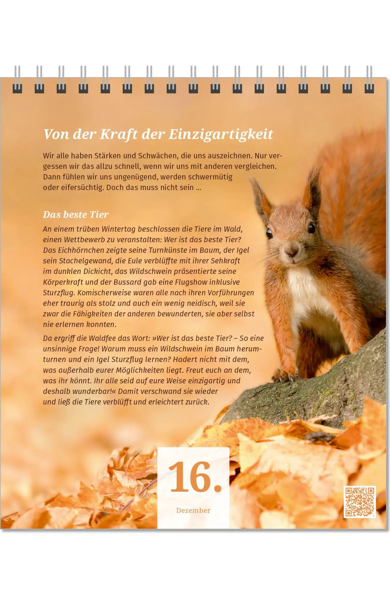 Bild: 9783910294486 | Der PAL Lebensfreude-Adventskalender 2026 - 24 Impulse für mehr...