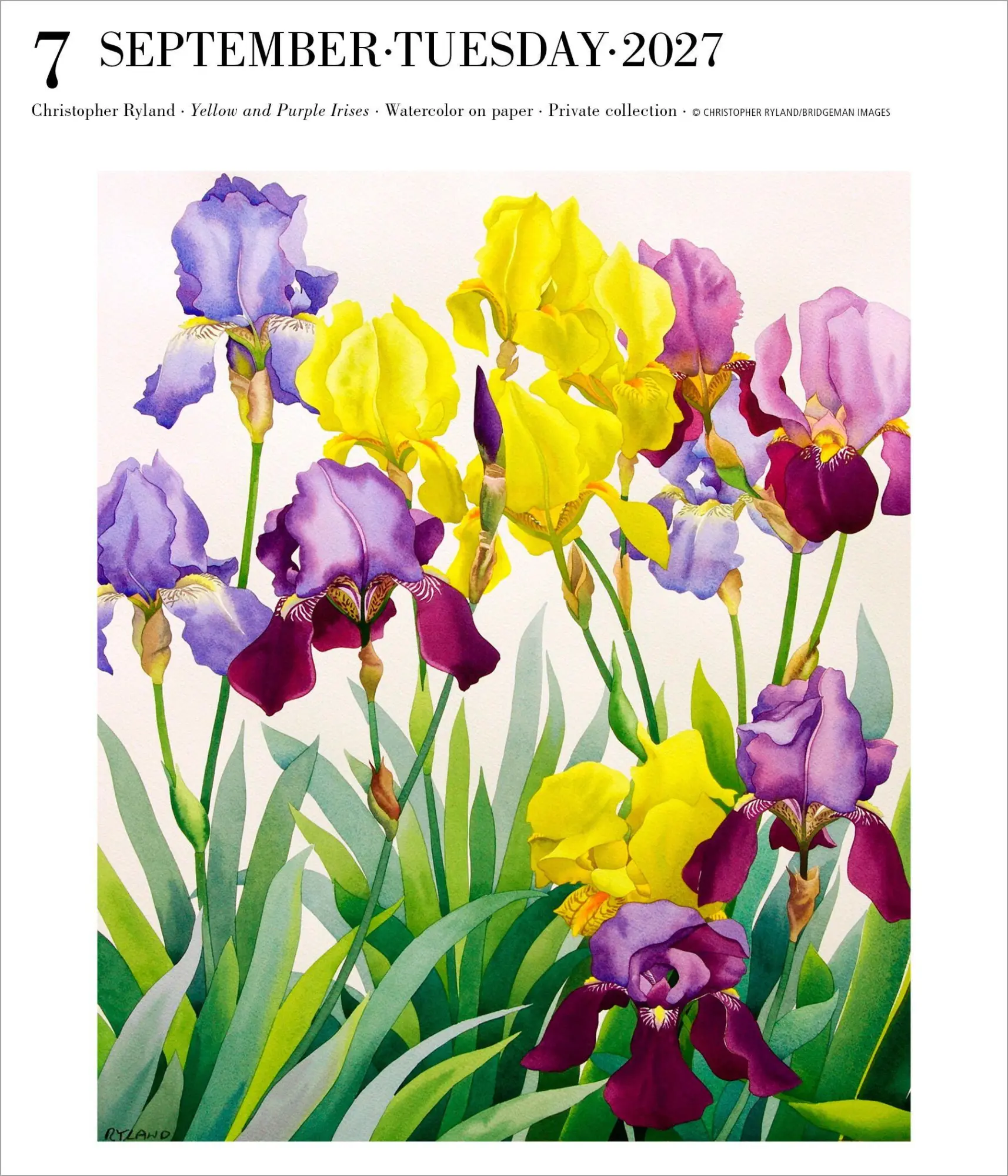 Bild: 9781523534586 | Art Page-A-Day® Gallery Calendar Refill Pack 2027 | Workman Calendars