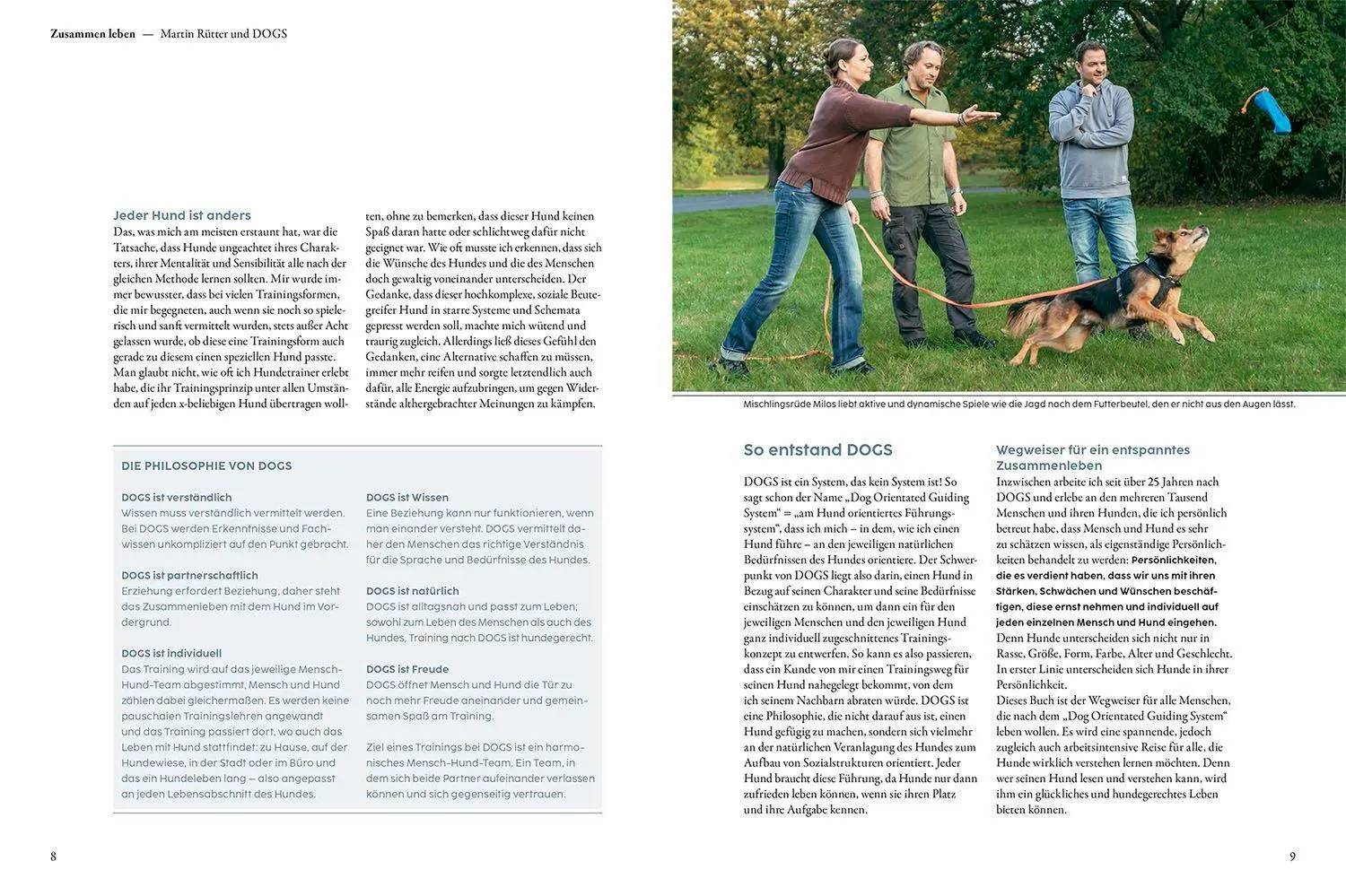 Bild: 9783440174586 | Hundetraining mit Martin Rütter | Martin Rütter (u. a.) | Buch | 2022