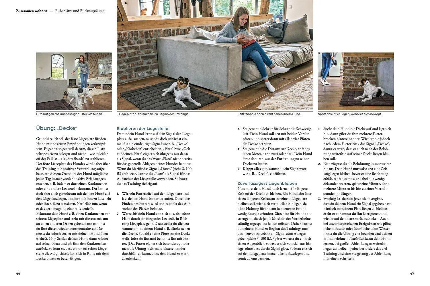 Bild: 9783440174586 | Hundetraining mit Martin Rütter | Martin Rütter (u. a.) | Buch | 2022 Bild: 9783440174586 | Hundetraining mit Martin Rütter | Martin Rütter (u. a.) | Buch | 2022