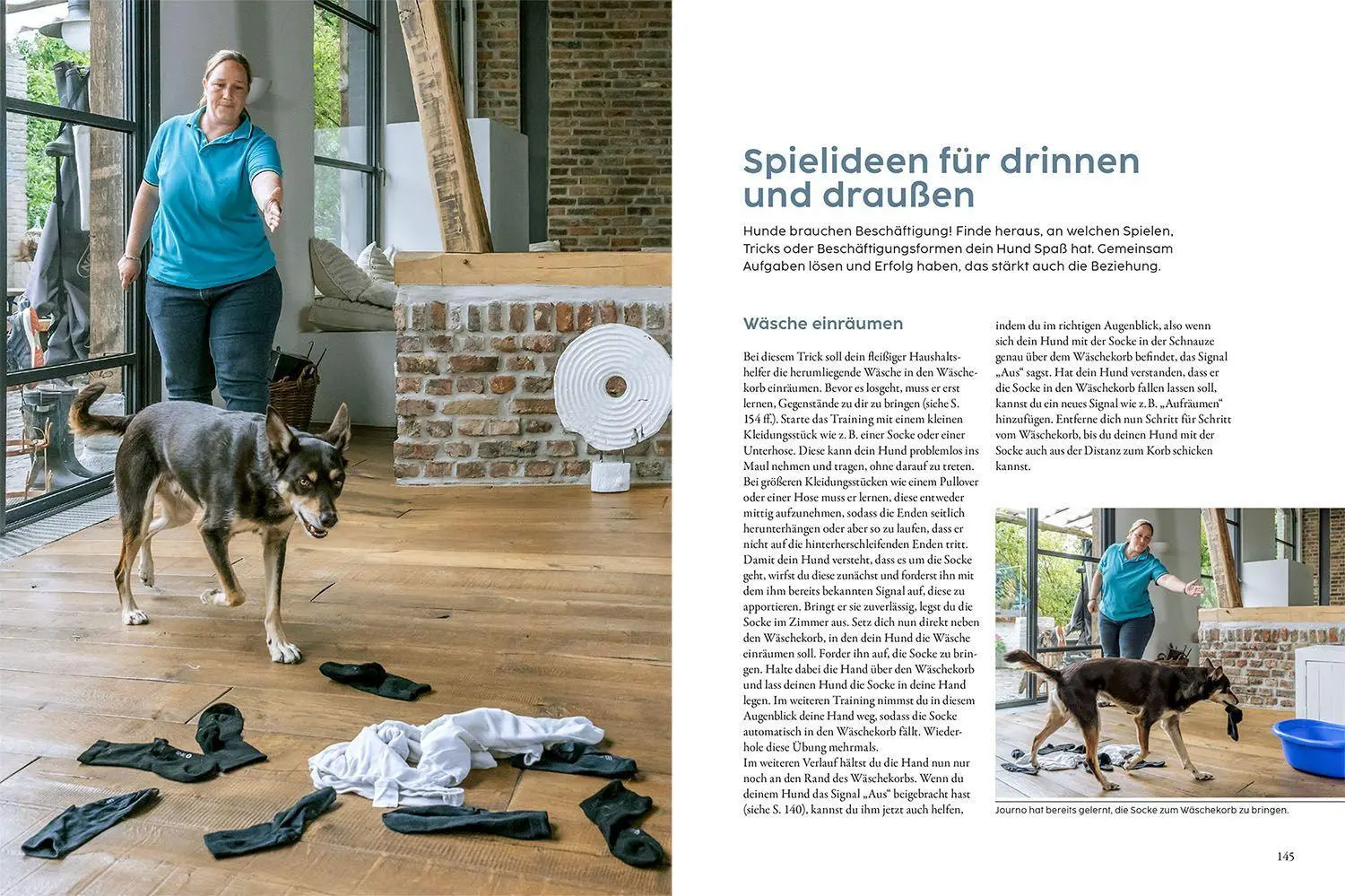Bild: 9783440174586 | Hundetraining mit Martin Rütter | Martin Rütter (u. a.) | Buch | 2022 Bild: 9783440174586 | Hundetraining mit Martin Rütter | Martin Rütter (u. a.) | Buch | 2022