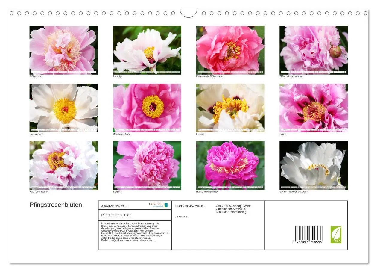Bild: 9783457794586 | Pfingstrosenblüten (Wandkalender 2026 DIN A3 quer), CALVENDO...