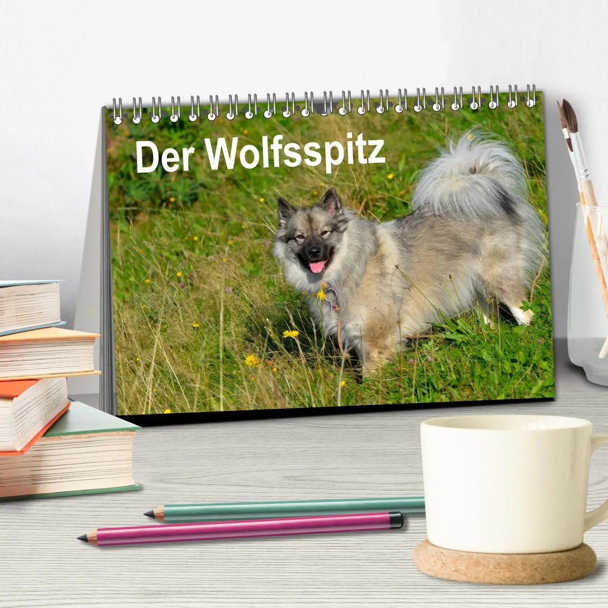 Bild: 9783516194586 | Der Wolfsspitz (Tischkalender 2026 DIN A5 quer), CALVENDO...