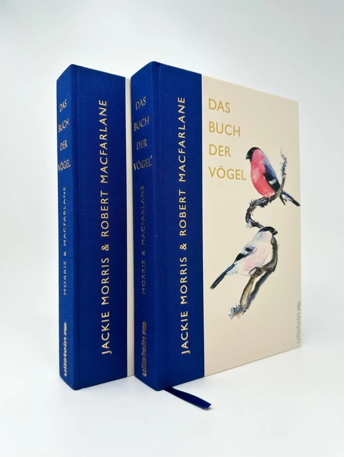 Bild: 9783550204586 | Das Buch der Vögel | Eine brillante Hommage an die Welt der Vögel