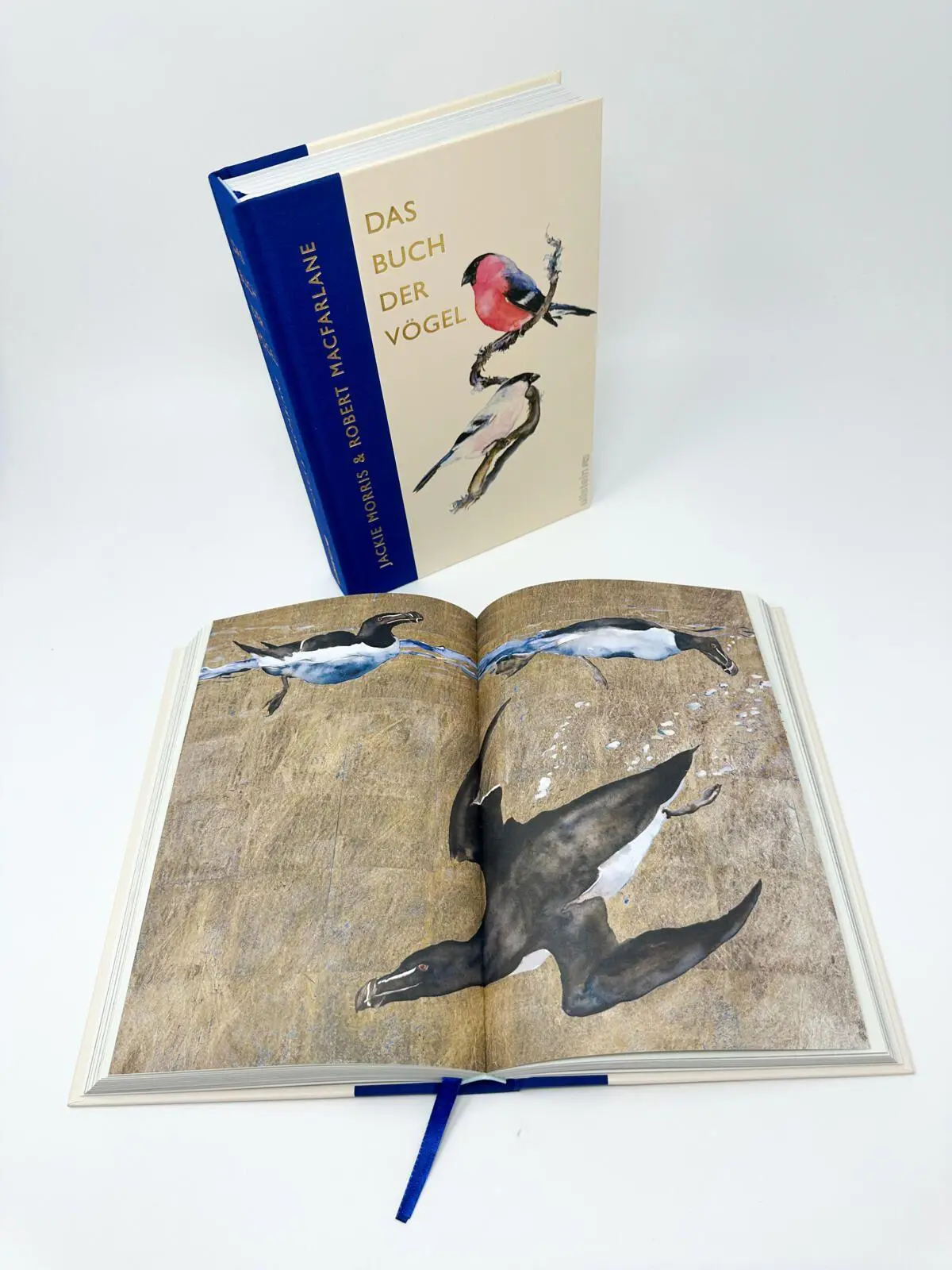 Bild: 9783550204586 | Das Buch der Vögel | Eine brillante Hommage an die Welt der Vögel