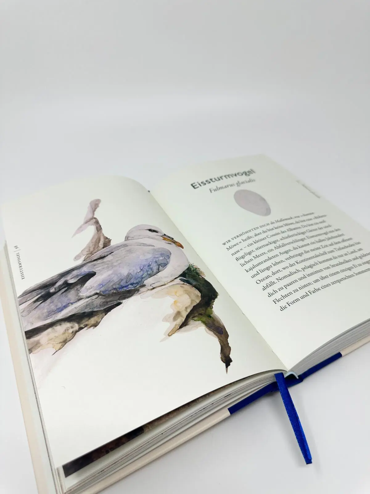 Bild: 9783550204586 | Das Buch der Vögel | Eine brillante Hommage an die Welt der Vögel