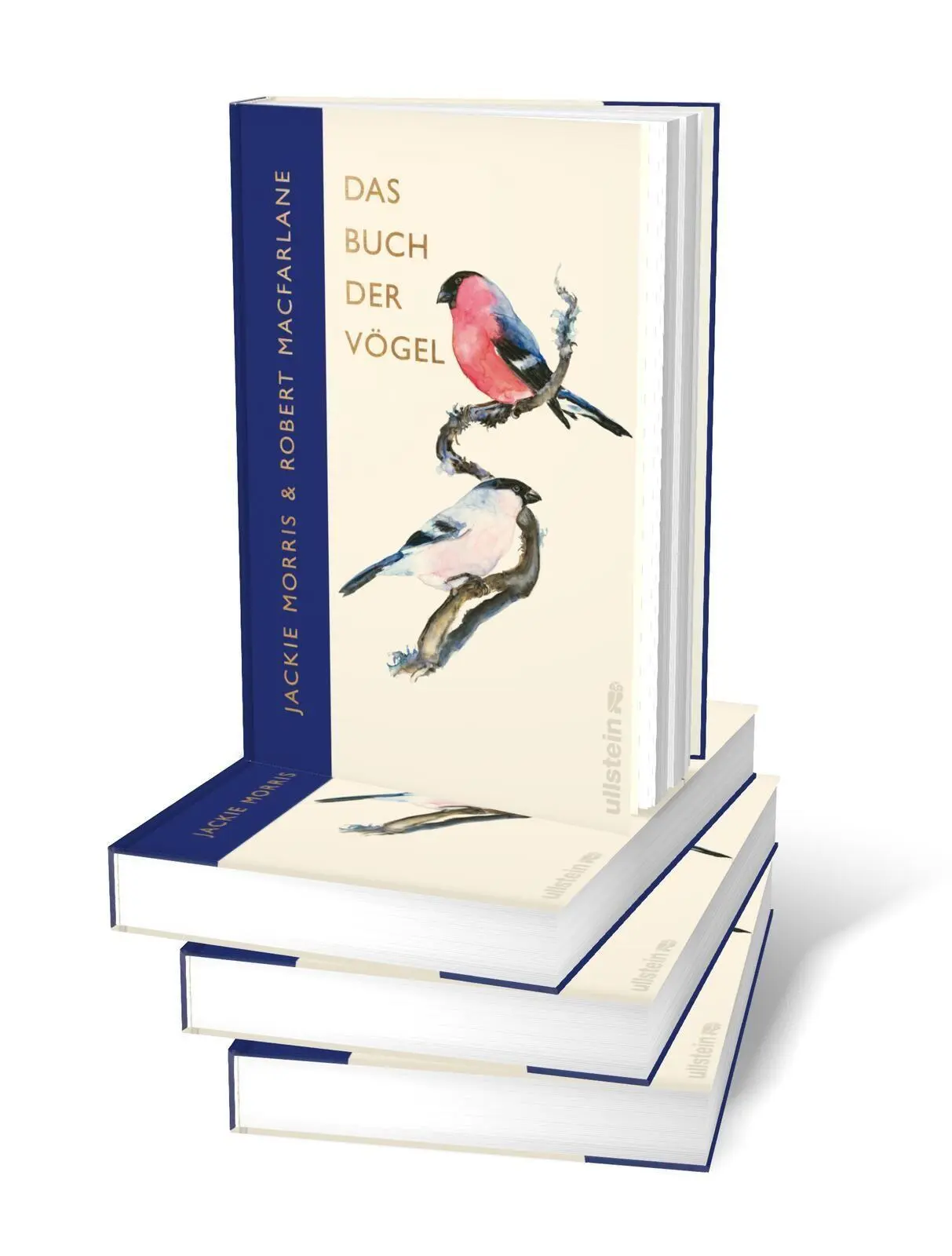 Bild: 9783550204586 | Das Buch der Vögel | Eine brillante Hommage an die Welt der Vögel