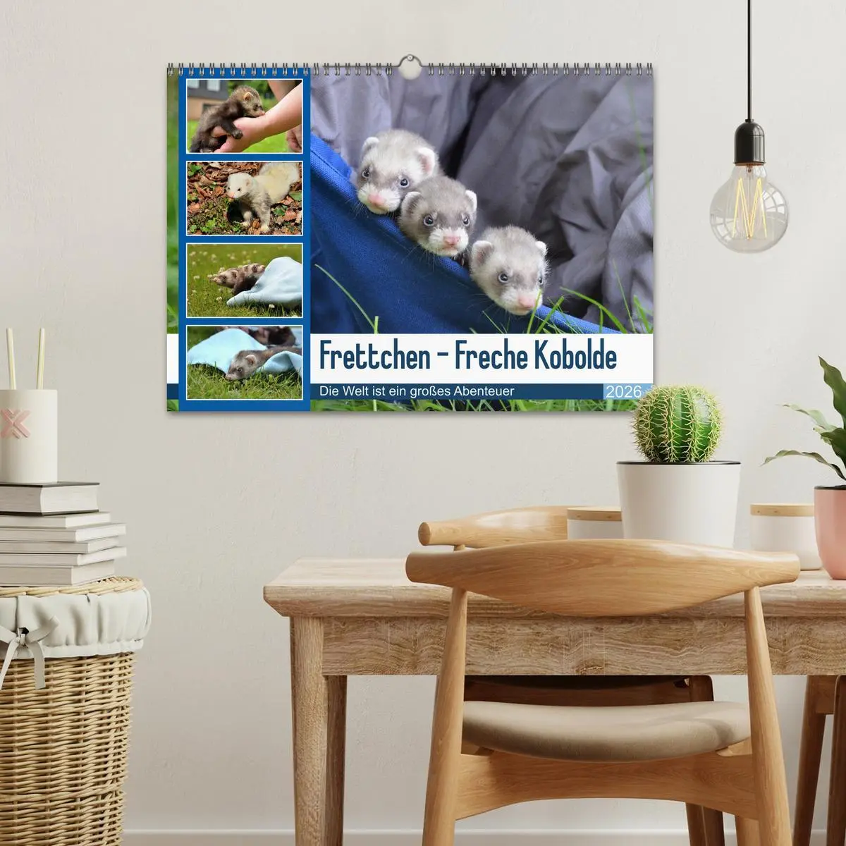 Bild: 9783516634686 | Frettchen - Freche Kobolde (Wandkalender 2026 DIN A3 quer),...