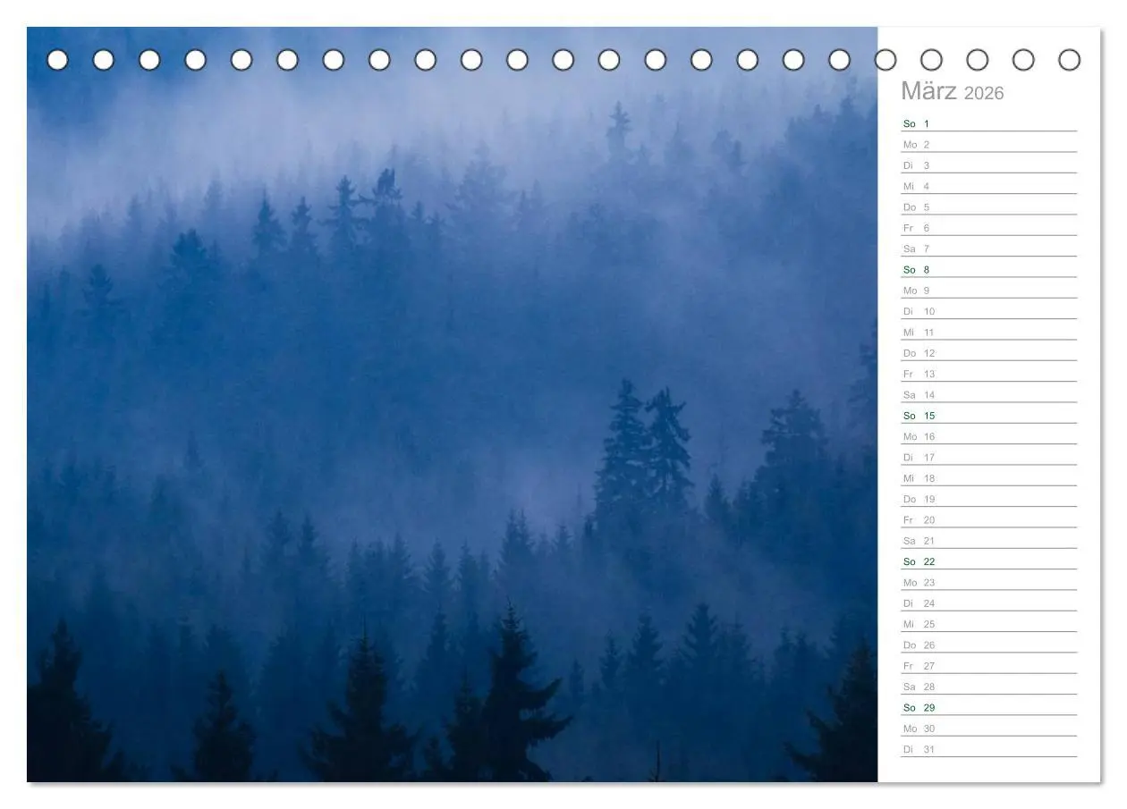 Bild: 9783516004786 | Im Deutschen Wald 2026 - ein Notizkalender (Tischkalender 2026 DIN...