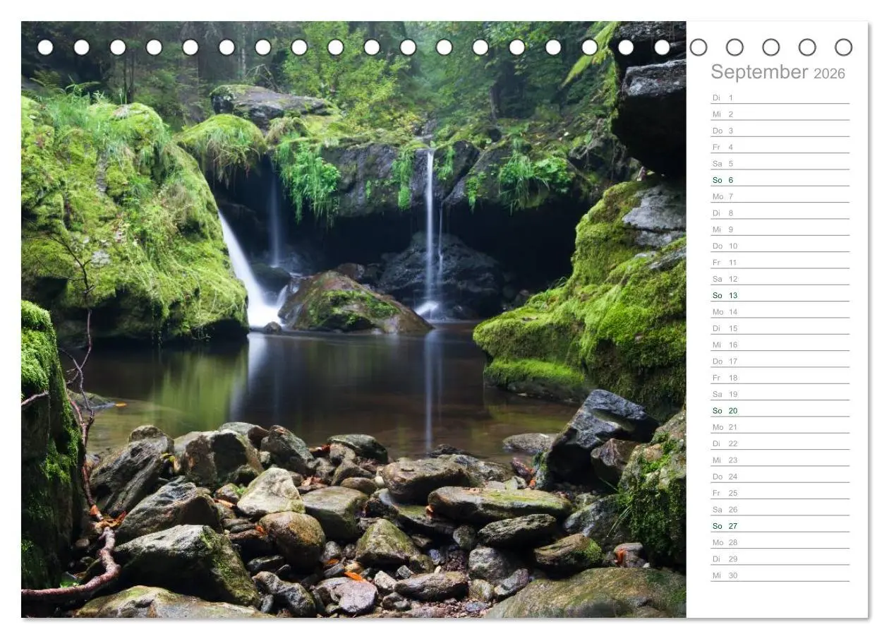 Bild: 9783516004786 | Im Deutschen Wald 2026 - ein Notizkalender (Tischkalender 2026 DIN...