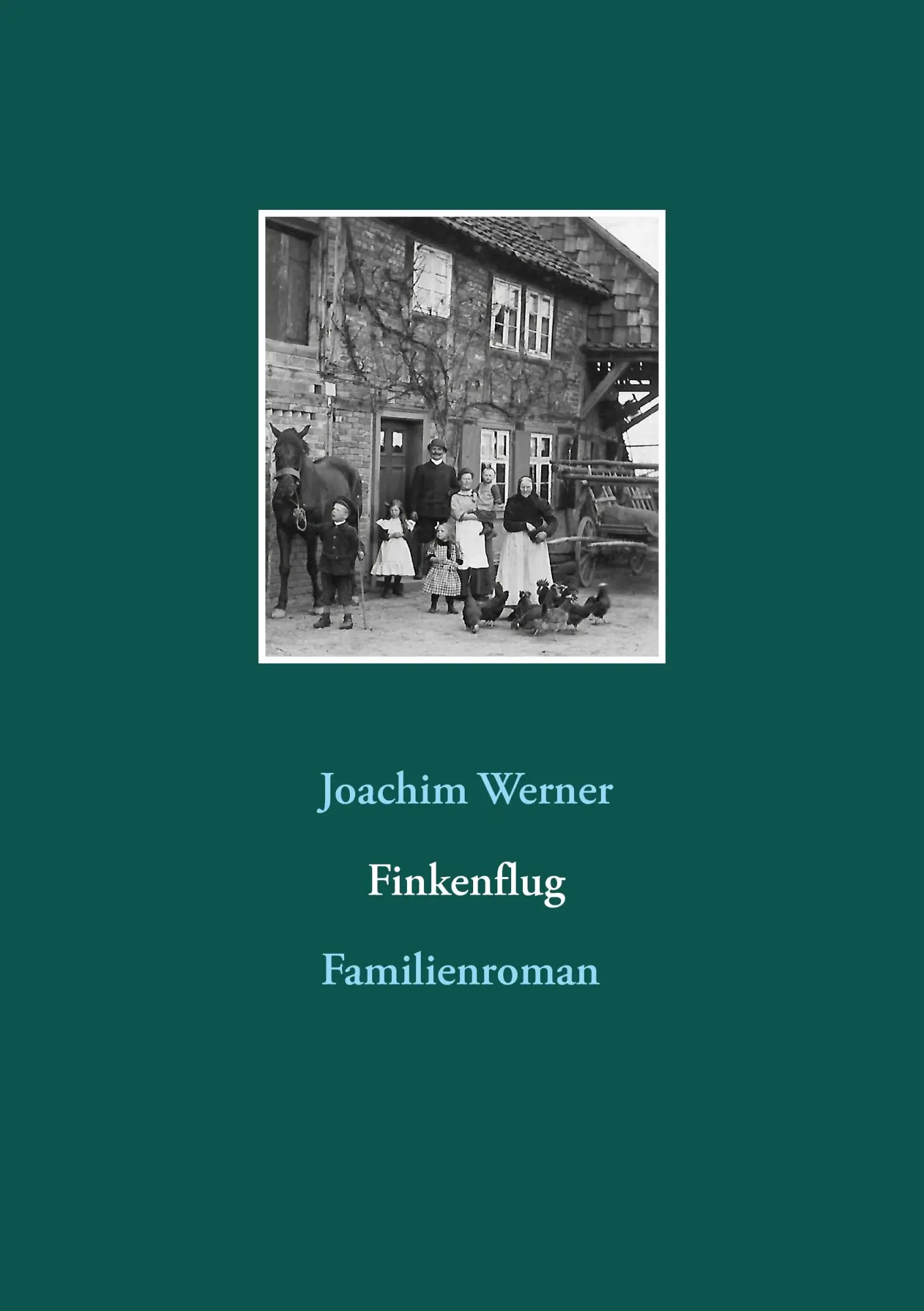 Cover: 9783741284786 | Finkenflug | Familienroman | Joachim Werner | Taschenbuch | 316 S.