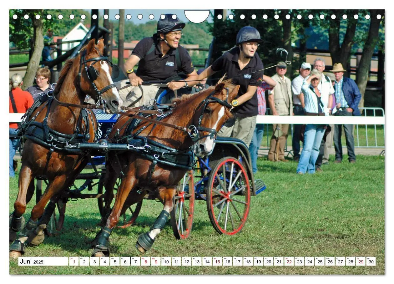 Bild: 9783383964886 | Faszination Fahrsport - Zweispänner im Galopp durch den Parcour...