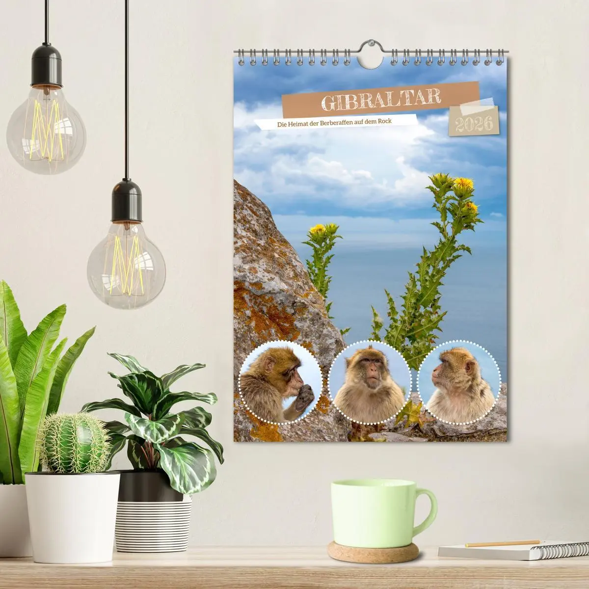 Bild: 9783516304886 | Gibraltar - Die Heimat der Berberaffen auf dem Rock (Wandkalender...