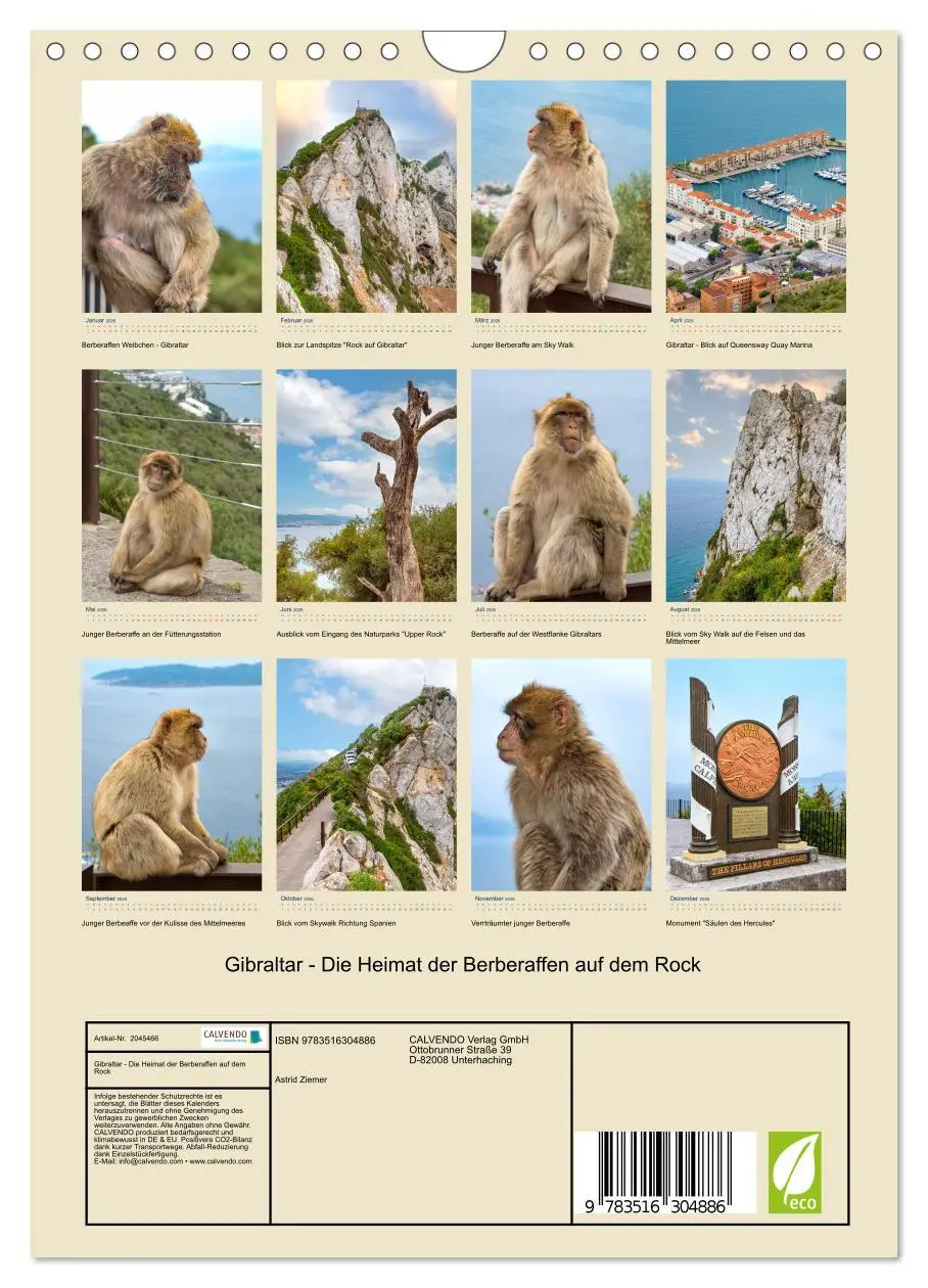Bild: 9783516304886 | Gibraltar - Die Heimat der Berberaffen auf dem Rock (Wandkalender...