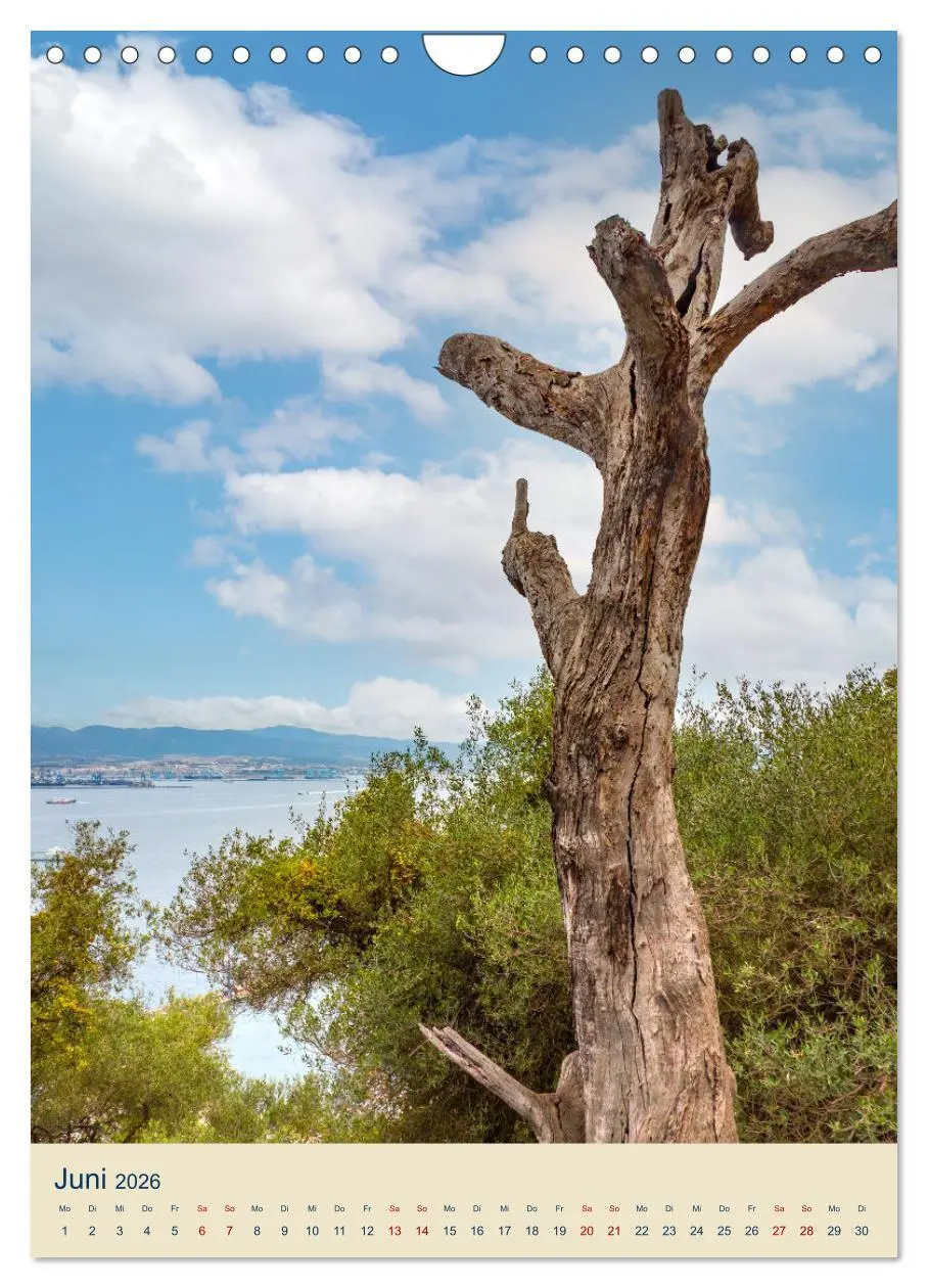 Bild: 9783516304886 | Gibraltar - Die Heimat der Berberaffen auf dem Rock (Wandkalender...