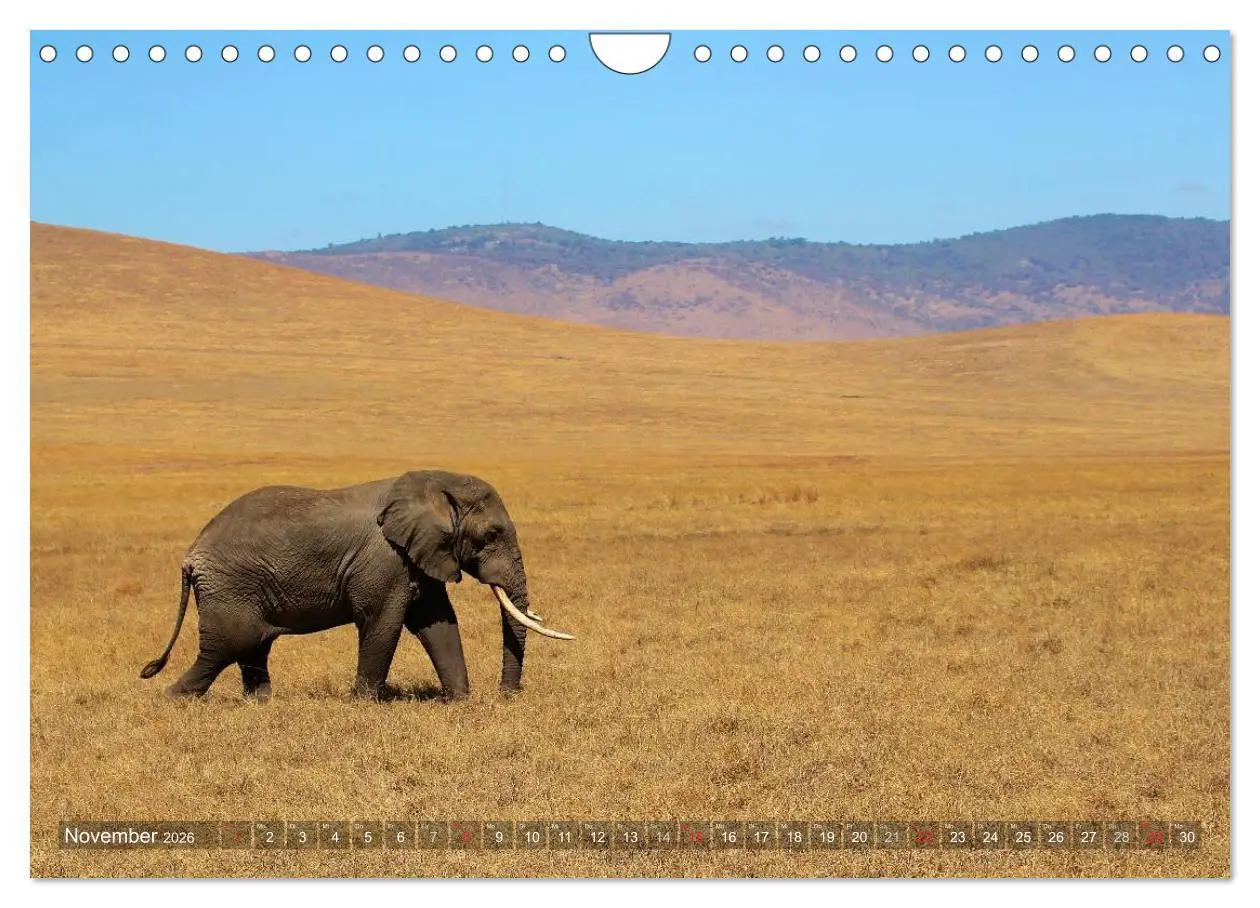Bild: 9783457994986 | Tansania - Faszinierendes Afrika (Wandkalender 2026 DIN A4 quer),...