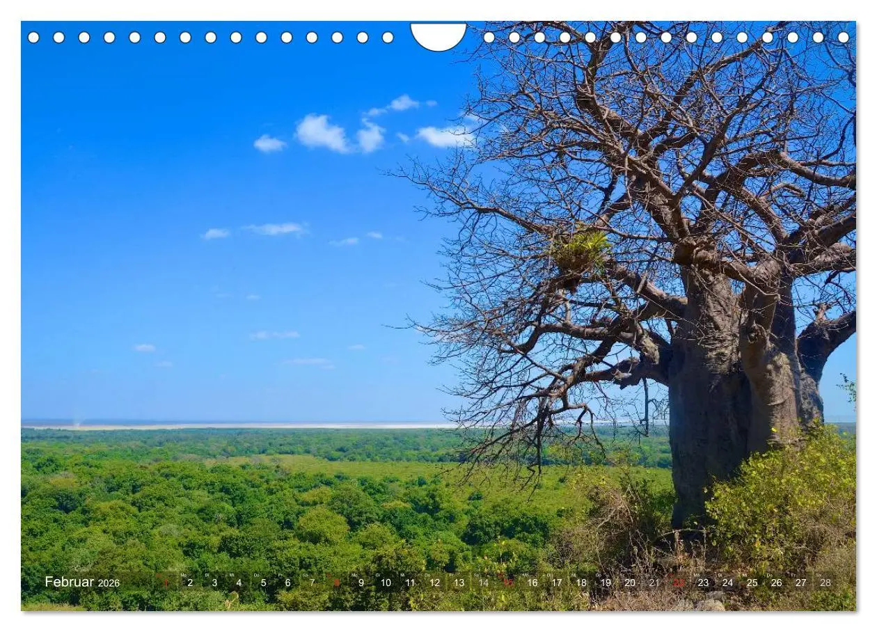 Bild: 9783457994986 | Tansania - Faszinierendes Afrika (Wandkalender 2026 DIN A4 quer),...