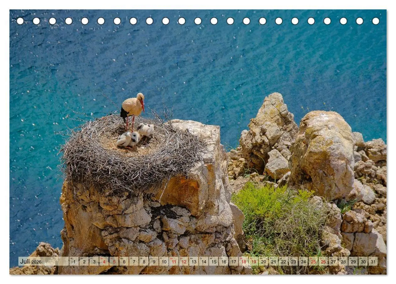 Bild: 9783516604986 | Fischerweg Portugal (Tischkalender 2026 DIN A5 quer), CALVENDO...
