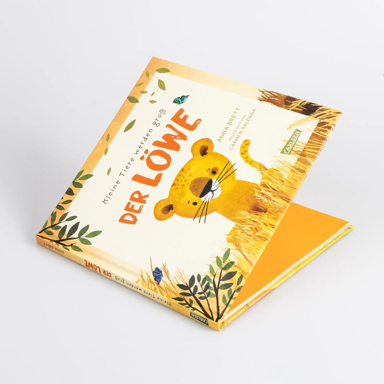 Bild: 9783551254986 | Kleine Tiere werden groß - Der Löwe | Anna Brett | Buch | 48 S. | 2023