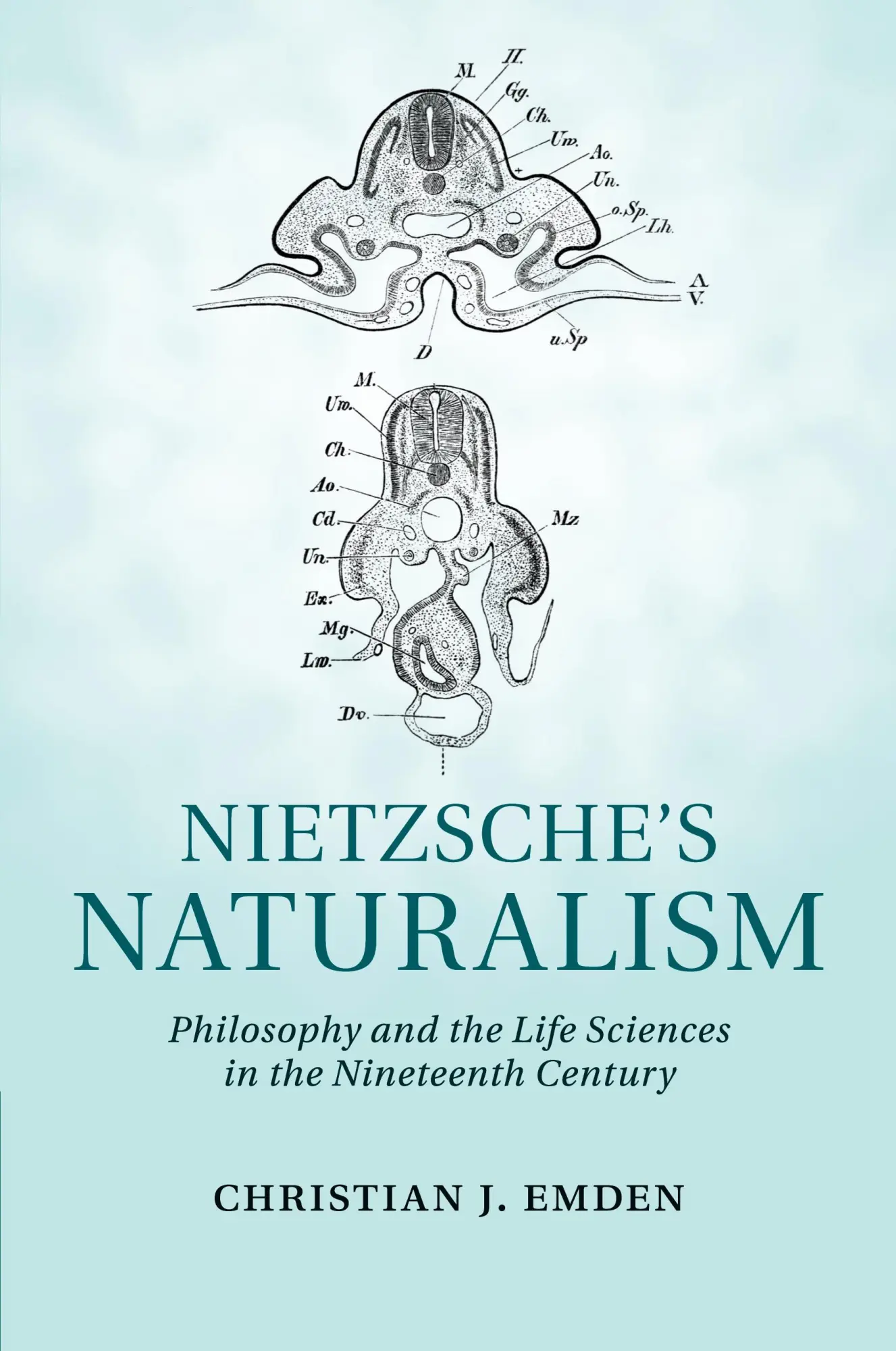 Cover: 9781107685086 | Nietzsche's Naturalism | Christian J. Emden | Taschenbuch | Englisch