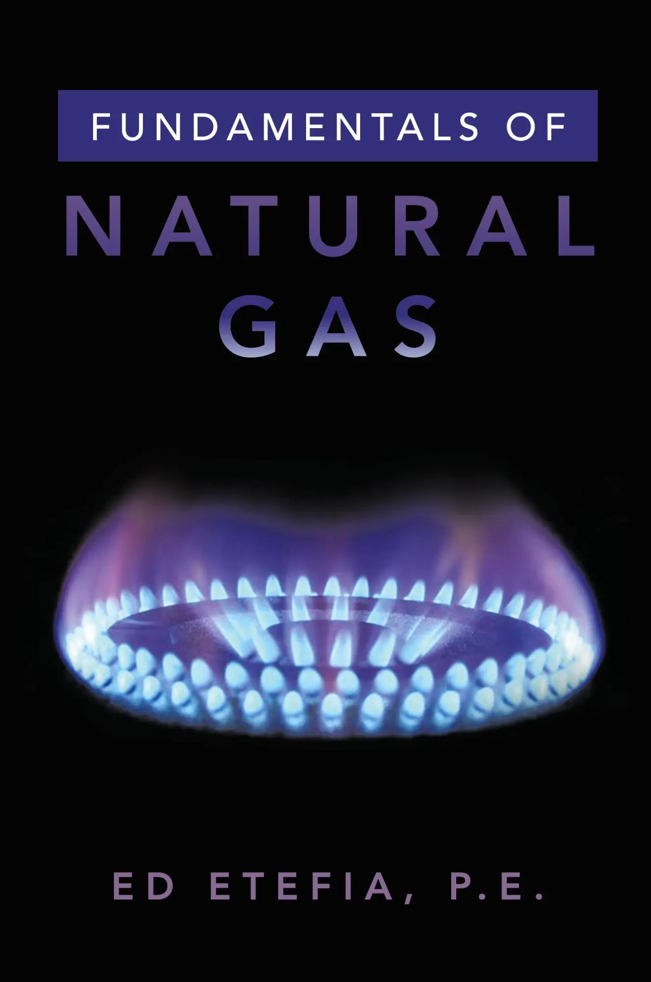 Cover: 9781669875086 | Fundamentals of Natural Gas | Ed Etefia P. E. | Taschenbuch | Englisch