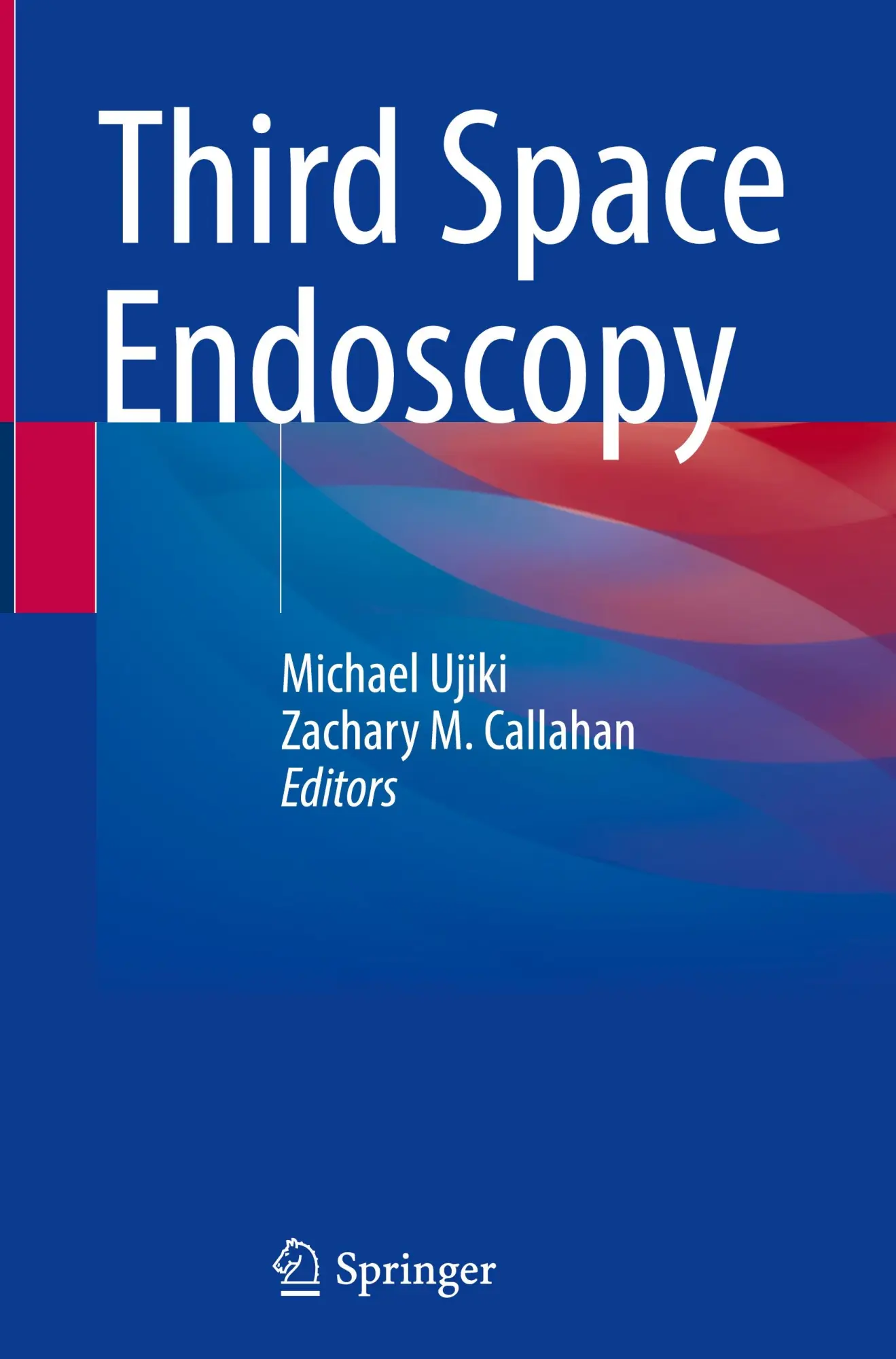 Cover: 9783031845086 | Third Space Endoscopy | Zachary M. Callahan (u. a.) | Buch | x | 2025
