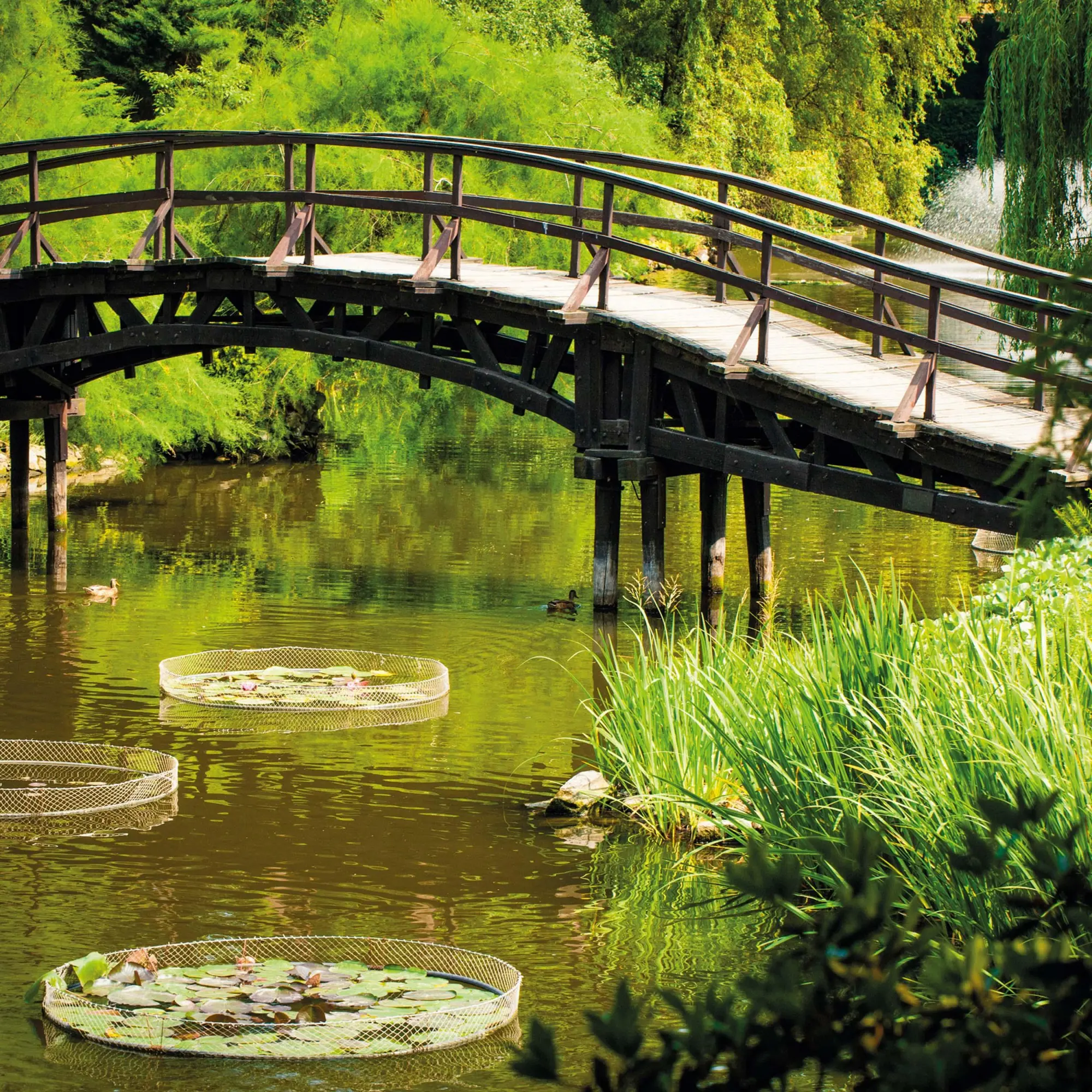 Bild: 9783959295086 | Japanese Garden 2026 | Kalender 2026 | Kalender | Mindful editions