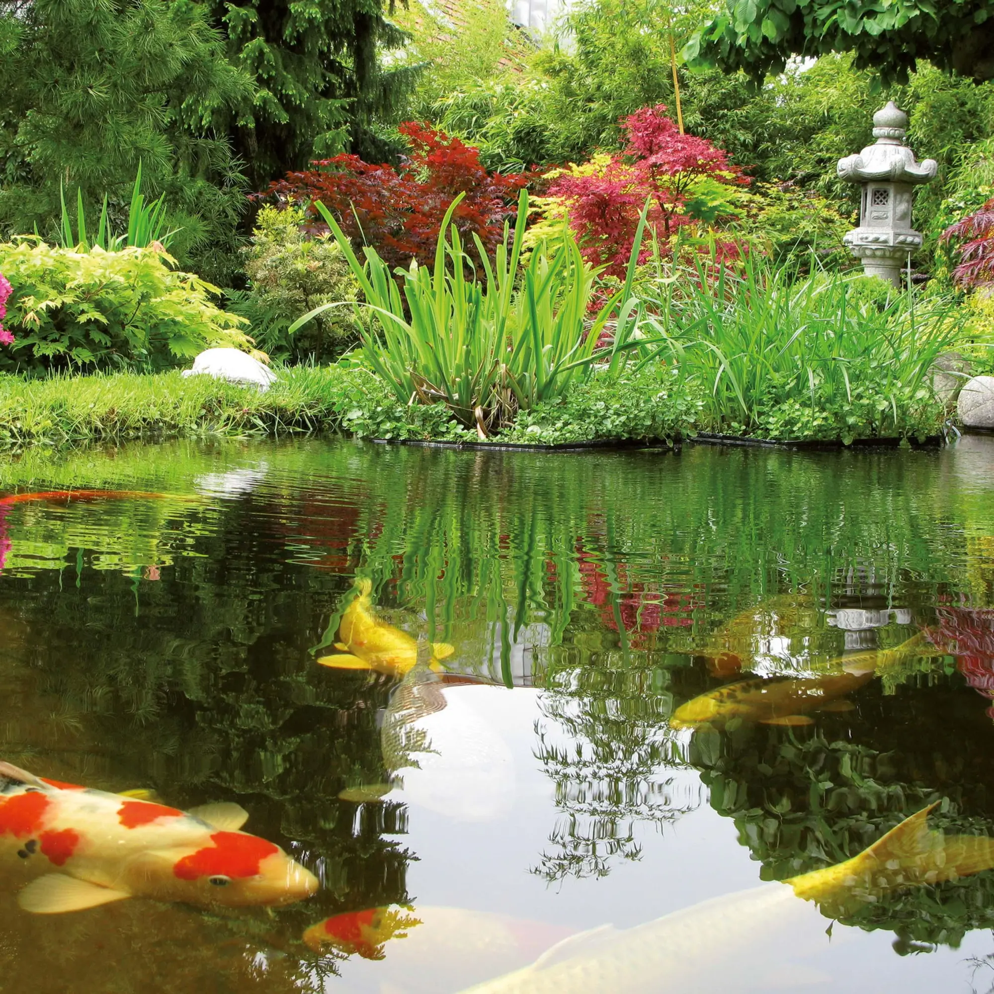 Bild: 9783959295086 | Japanese Garden 2026 | Kalender 2026 | Kalender | Mindful editions