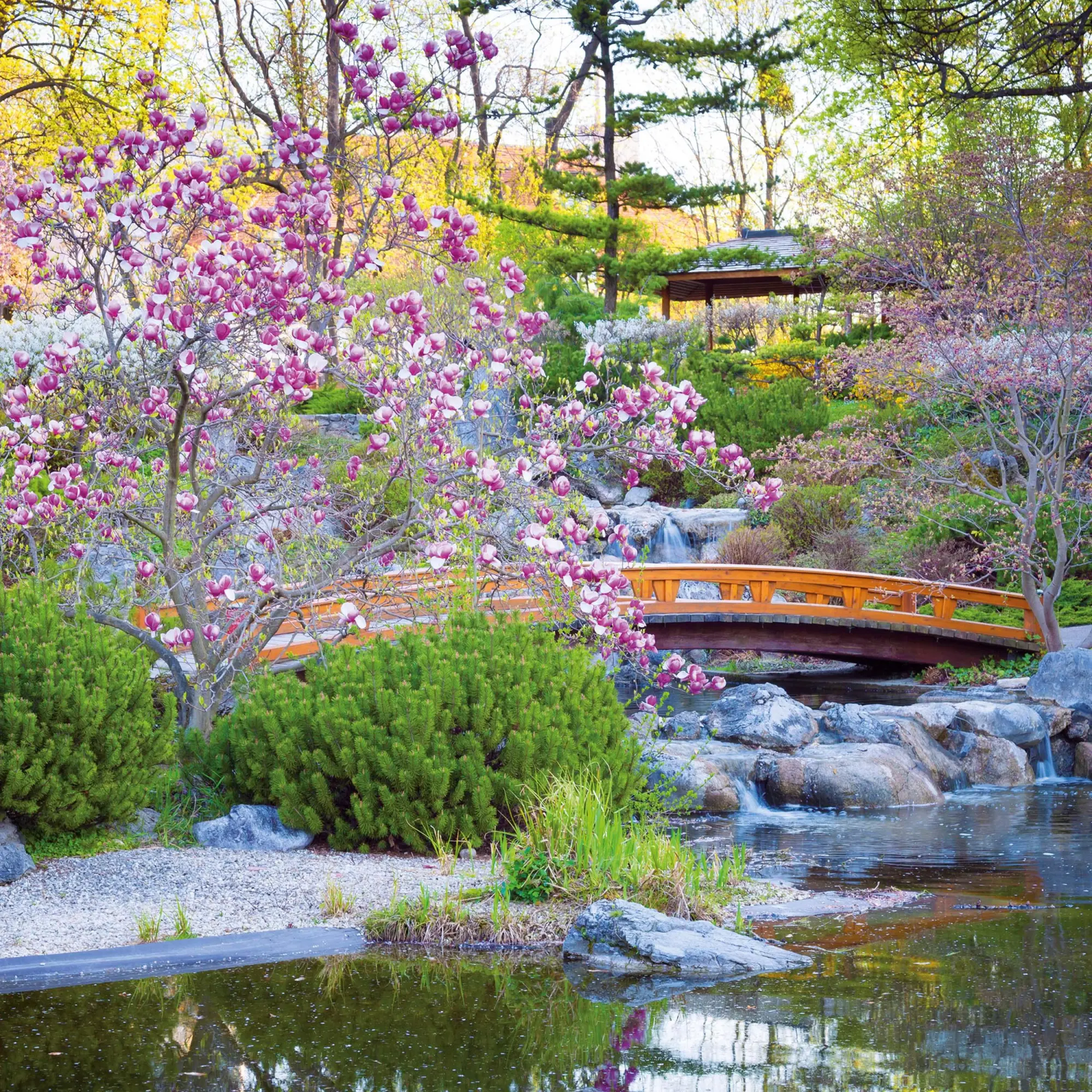 Bild: 9783959295086 | Japanese Garden 2026 | Kalender 2026 | Kalender | Mindful editions