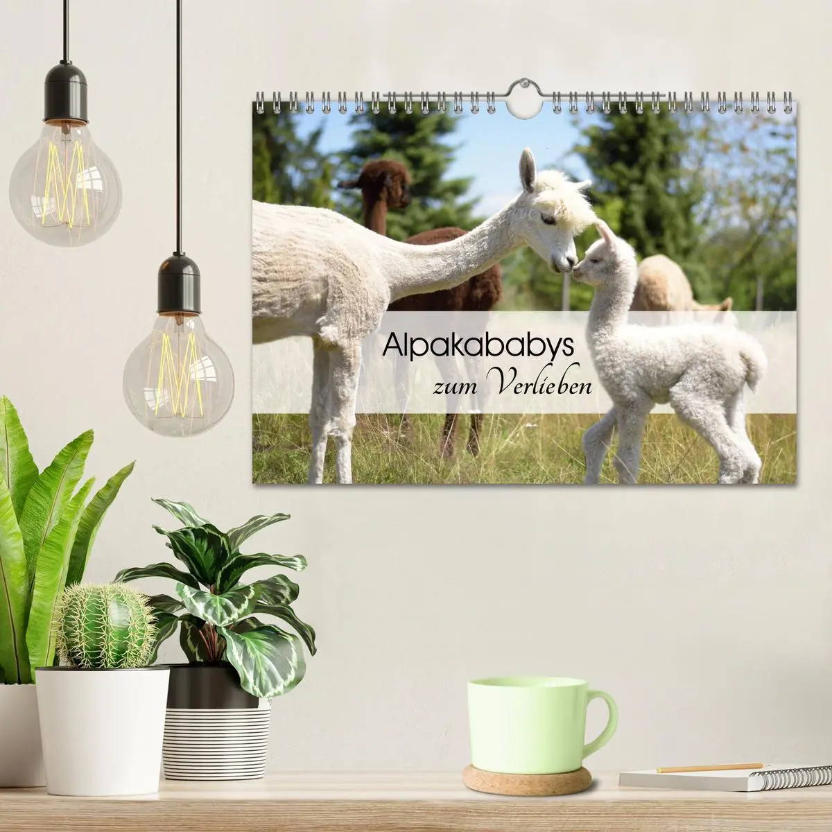 Bild: 9783457565186 | Alpakababys zum Verlieben (Wandkalender 2026 DIN A4 quer), CALVENDO...