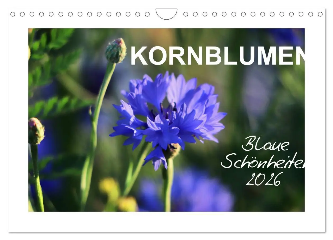 Cover: 9783457875186 | Kornblumen - Blaue Schönheiten (Wandkalender 2026 DIN A4 quer),...