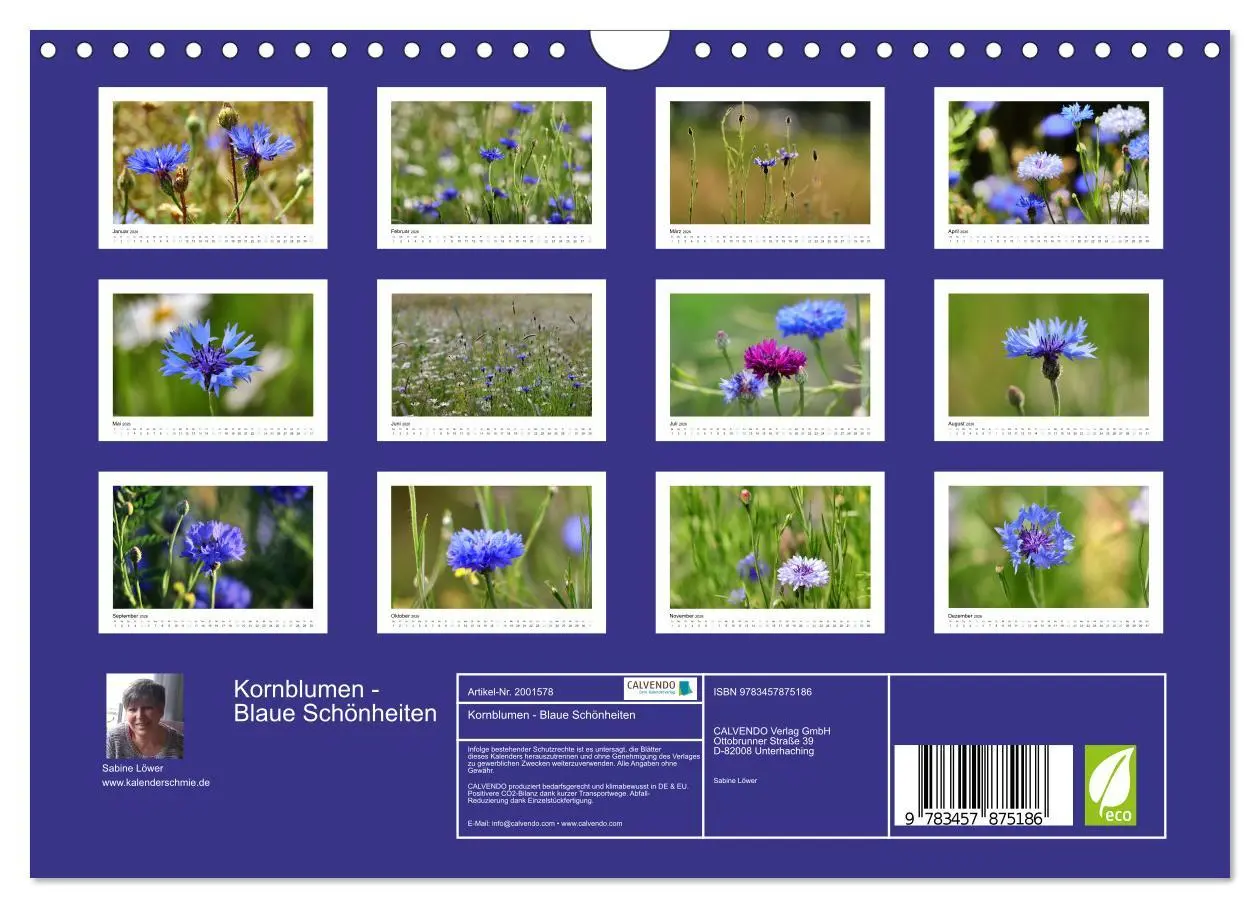 Bild: 9783457875186 | Kornblumen - Blaue Schönheiten (Wandkalender 2026 DIN A4 quer),...