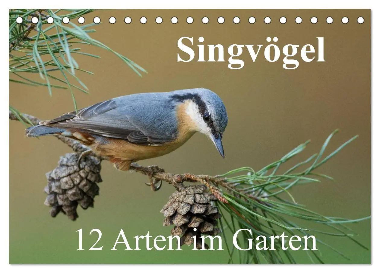 Cover: 9783457945186 | Singvögel - 12 Arten im Garten (Tischkalender 2026 DIN A5 quer),...