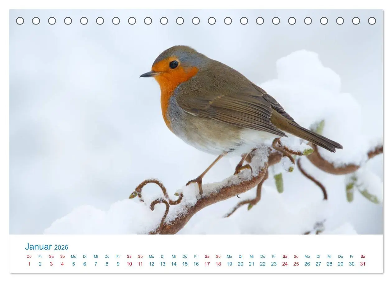Bild: 9783457945186 | Singvögel - 12 Arten im Garten (Tischkalender 2026 DIN A5 quer),...