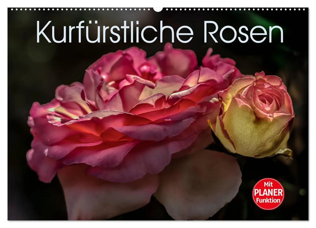 Cover: 9783516035186 | Kurfürstliche Rosen Eltville am Rhein (Wandkalender 2026 DIN A2...