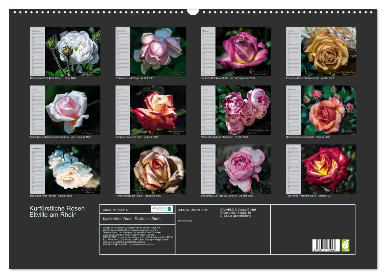 Bild: 9783516035186 | Kurfürstliche Rosen Eltville am Rhein (Wandkalender 2026 DIN A2...