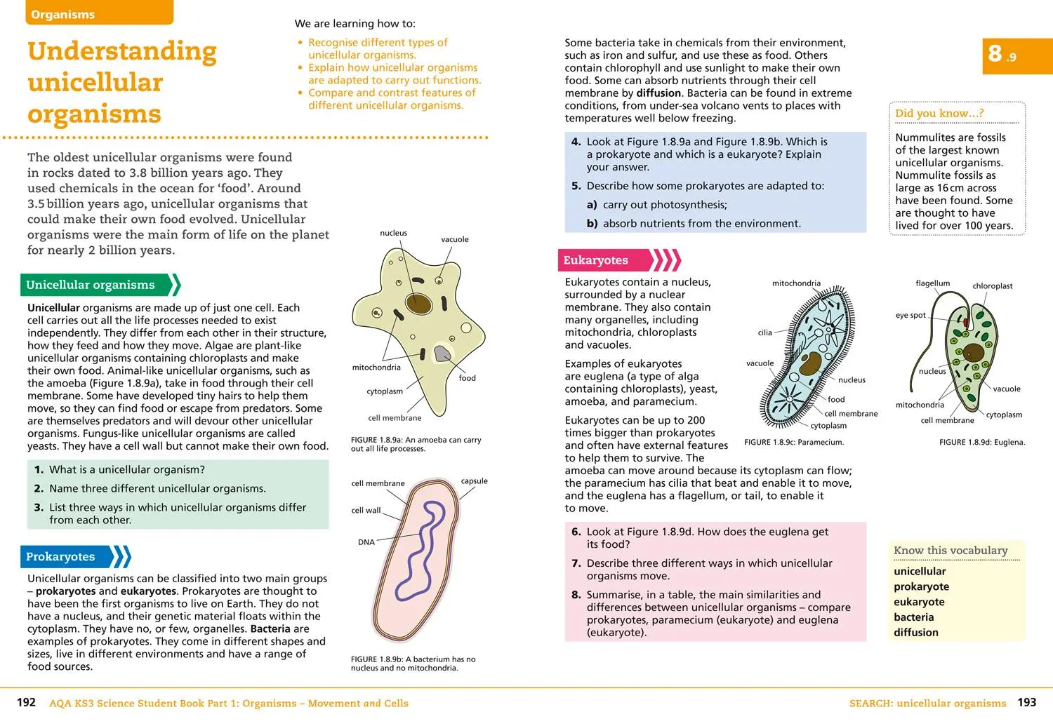Bild: 9780008215286 | Aqa Ks3 Science - Aqa Ks3 Science Student Book Part 1 | Collins | Buch