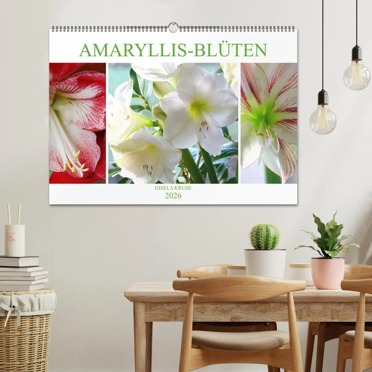 Bild: 9783457865286 | Amaryllis-Blüten (Wandkalender 2026 DIN A2 quer), CALVENDO...