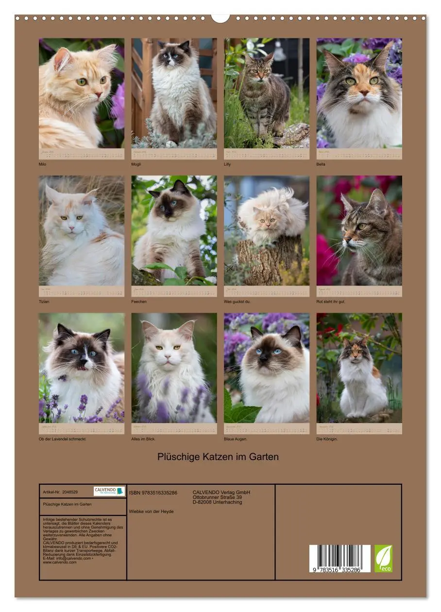 Bild: 9783516335286 | Plüschige Katzen im Garten (hochwertiger Premium Wandkalender 2026...