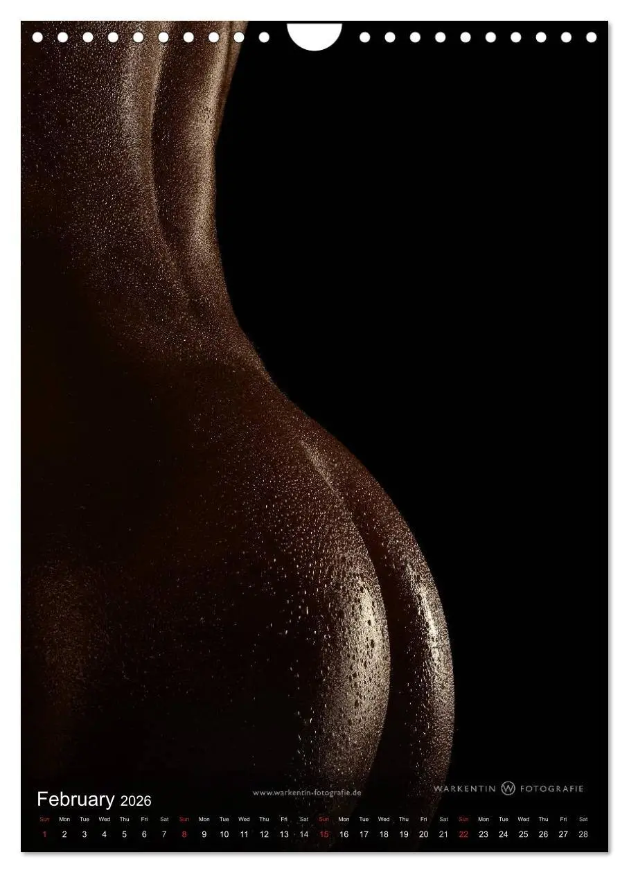 Bild: 9783516575286 | bodyparts (Wall Calendar 2026 DIN A4 portrait), CALVENDO 12 Month...