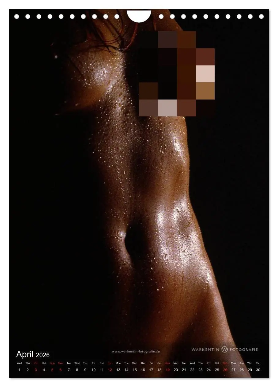 Bild: 9783516575286 | bodyparts (Wall Calendar 2026 DIN A4 portrait), CALVENDO 12 Month...